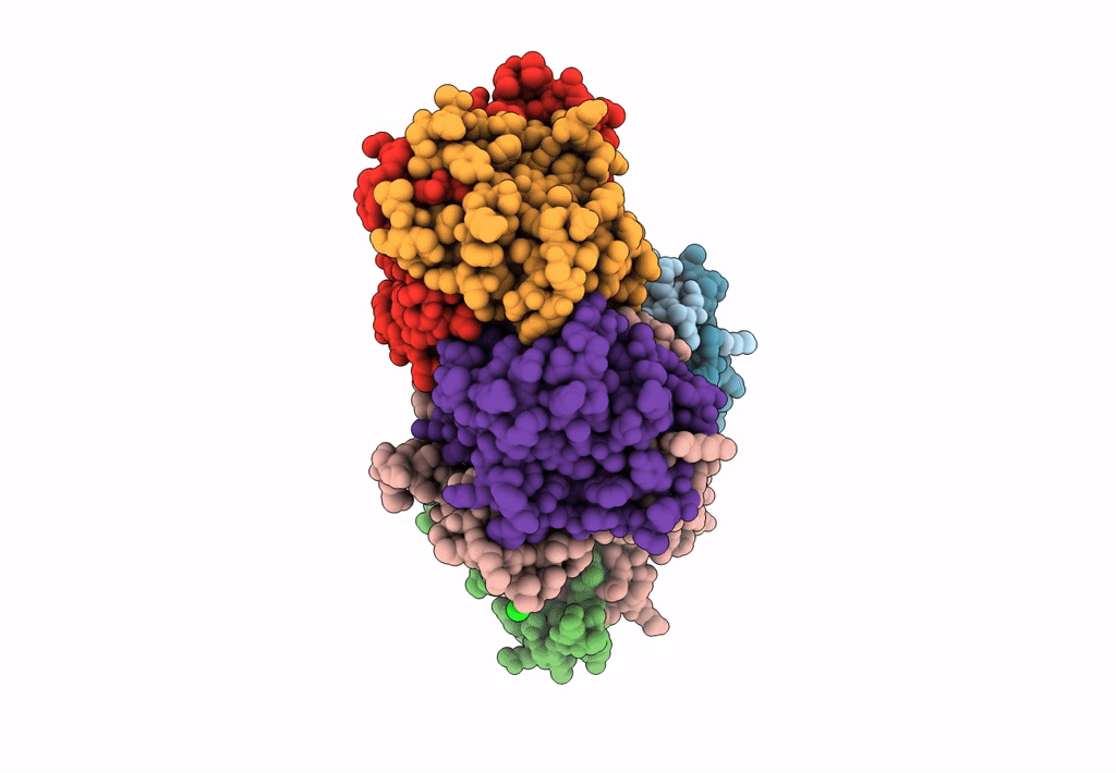 8C23 image