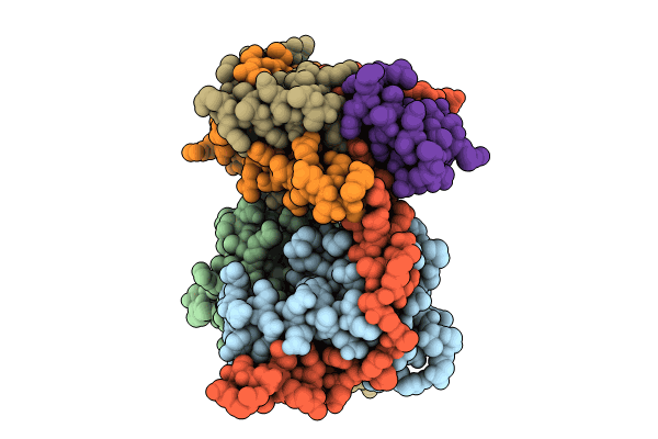 8C24 image