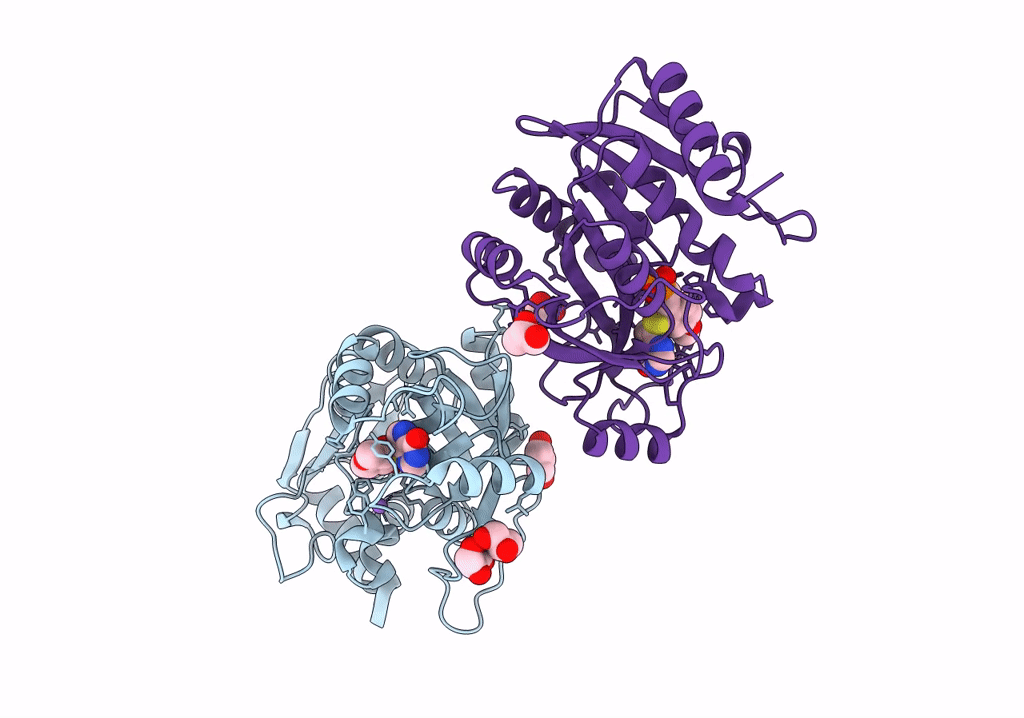 8C25 image