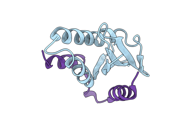 8C26 image