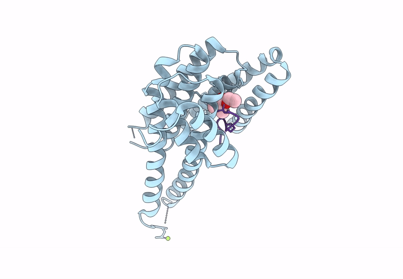 8C2F image