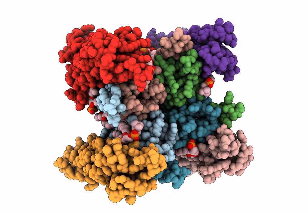 8C2I image