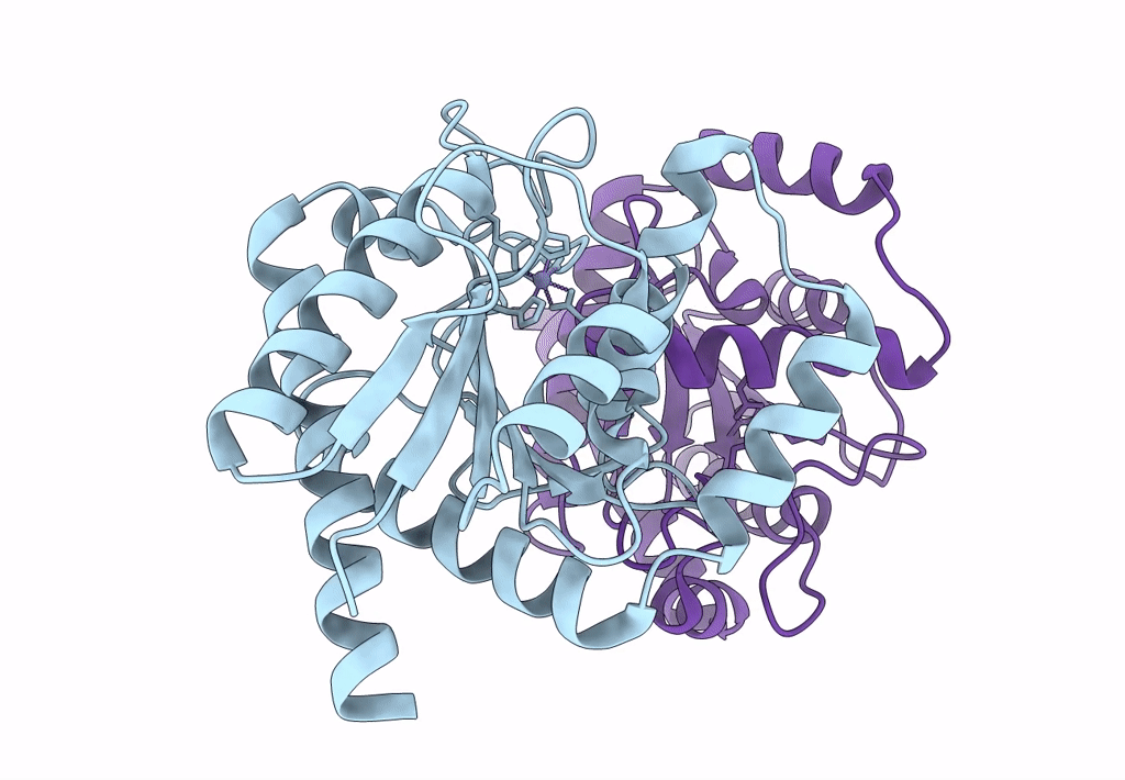8C2O image