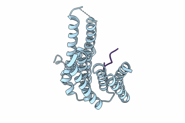 8C2Y image