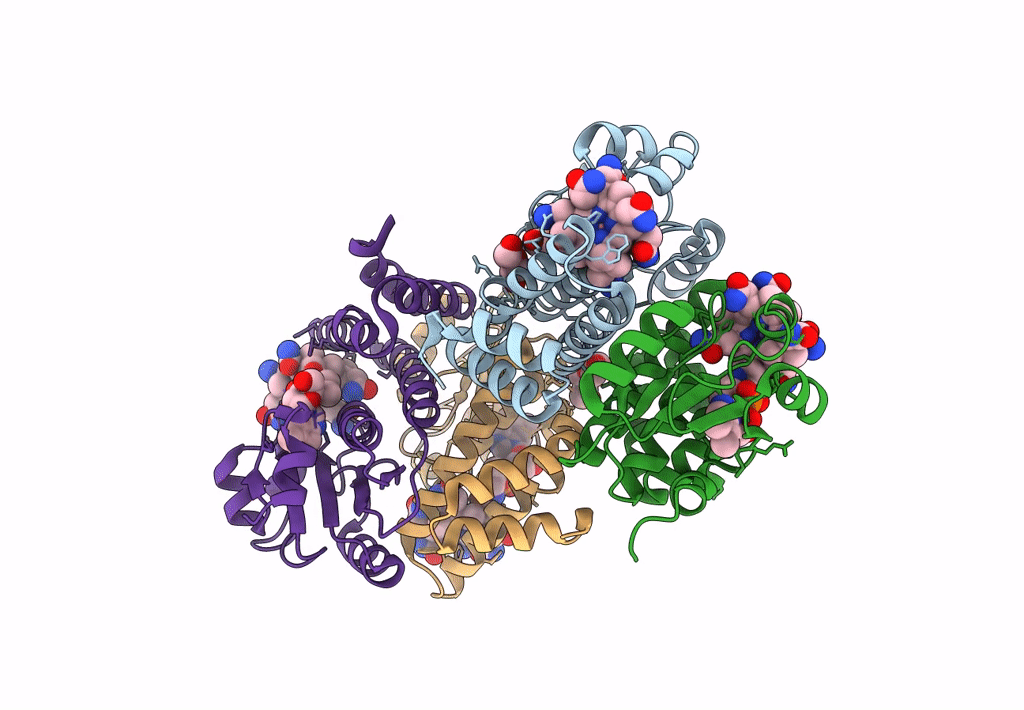 8C34 image