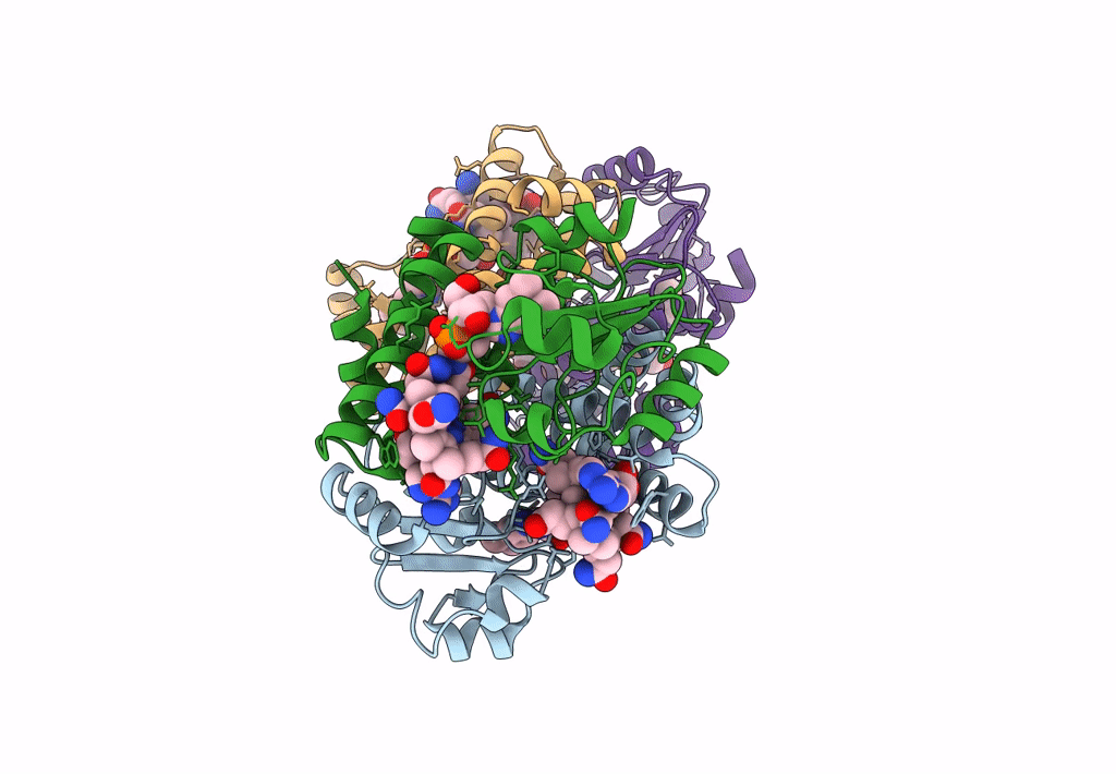 8C35 image