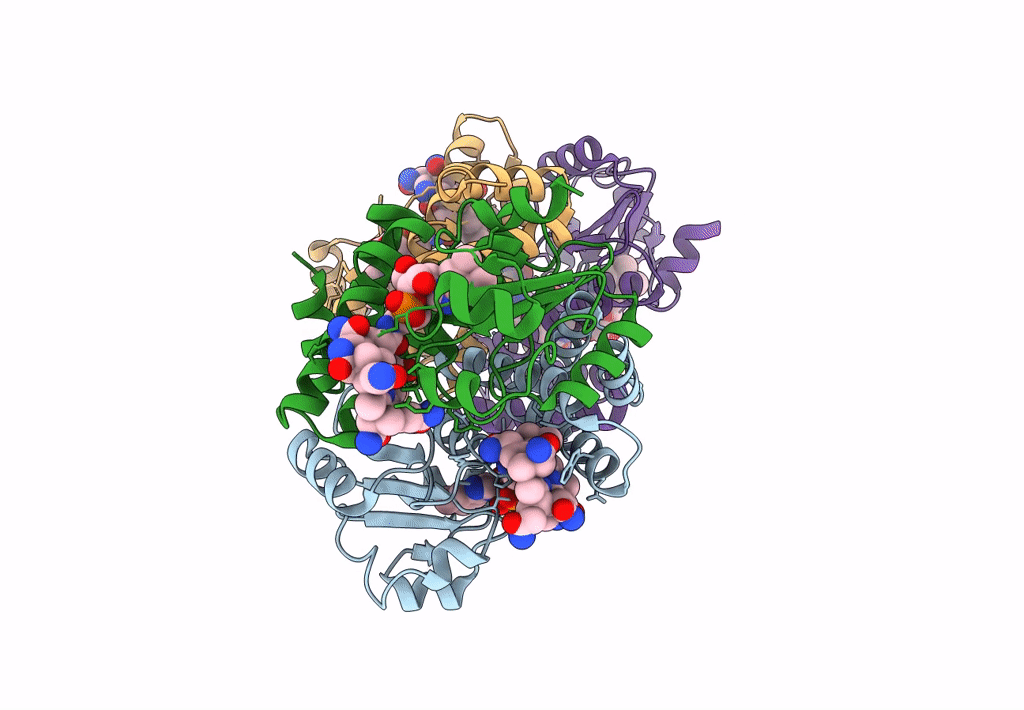 8C37 image
