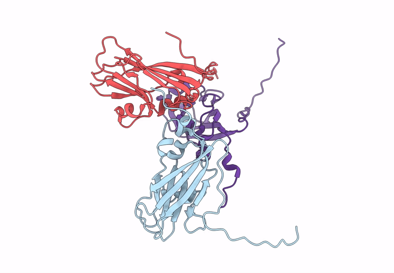 8C38 image