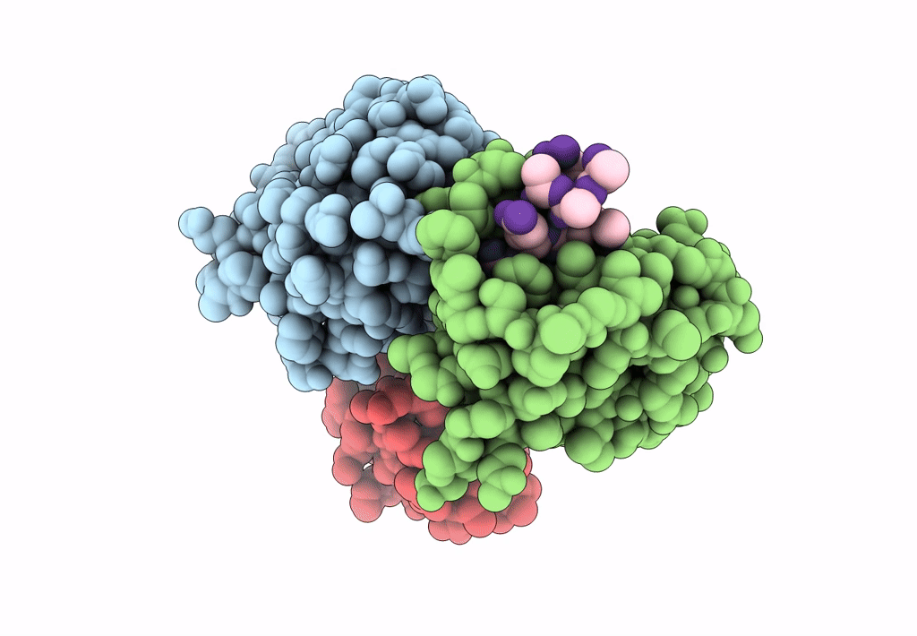 8C3H image