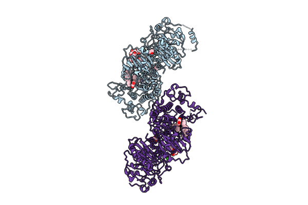 8C3O image