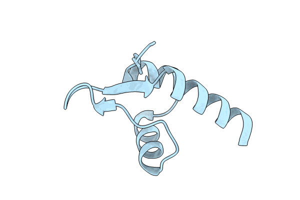 8C3T image