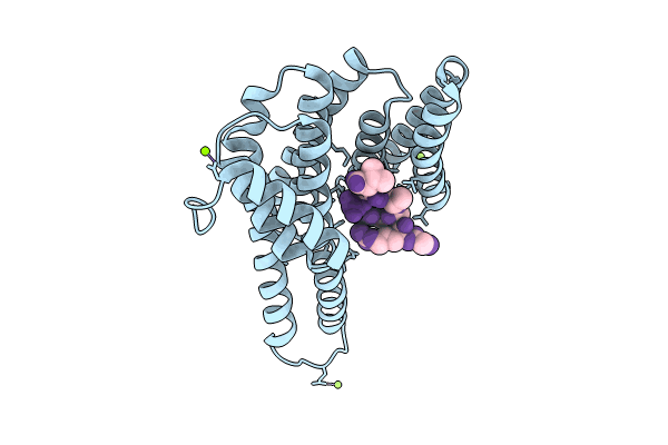 8C40 image