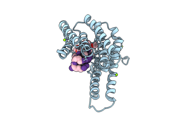 8C42 image