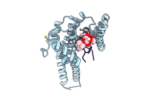 8C43 image