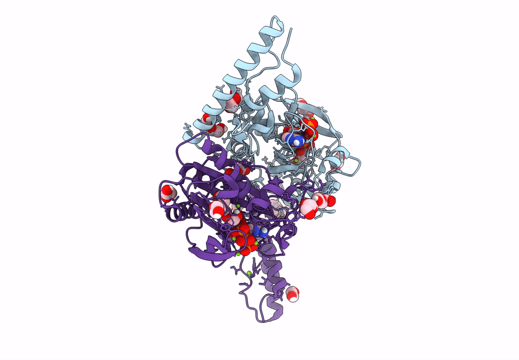 8C49 image