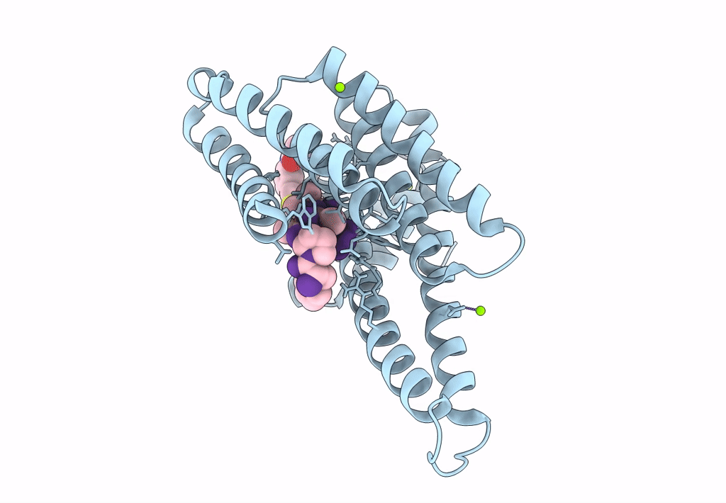 8C4G image