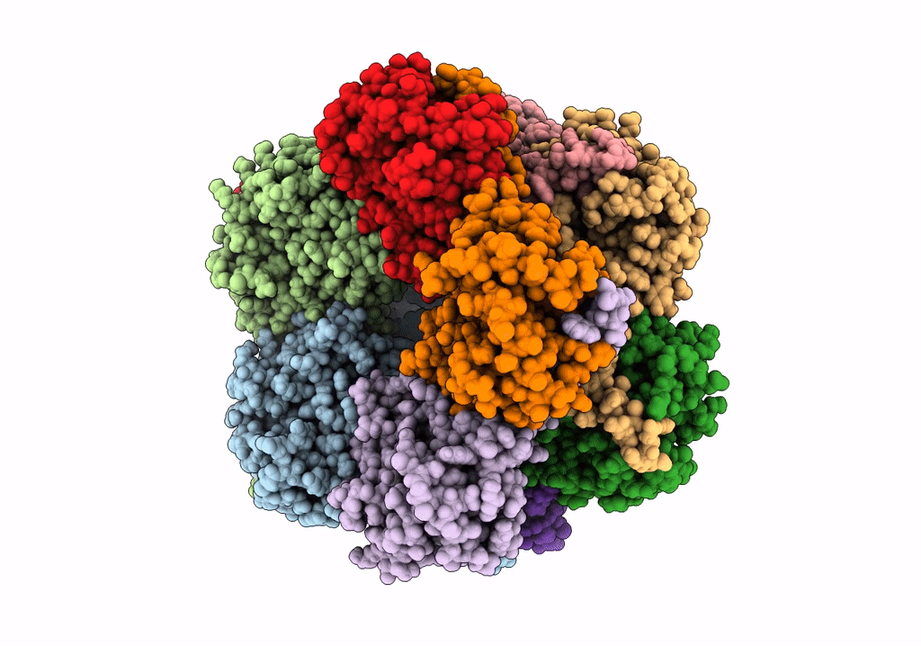 8C4I image