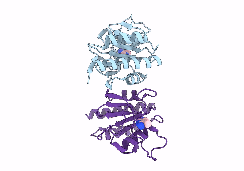 8C4J image