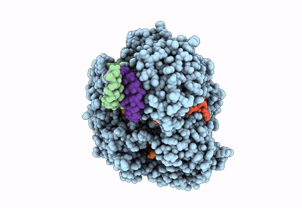 8C4V image