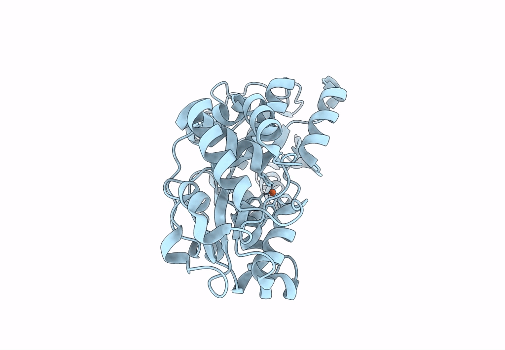 8C4Y image