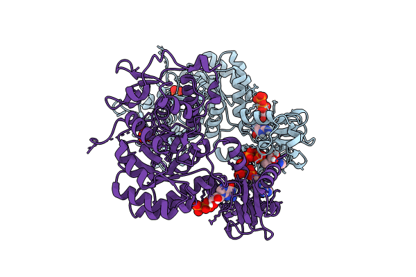 8C51 image