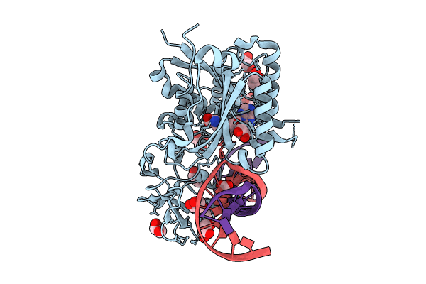 8C59 image