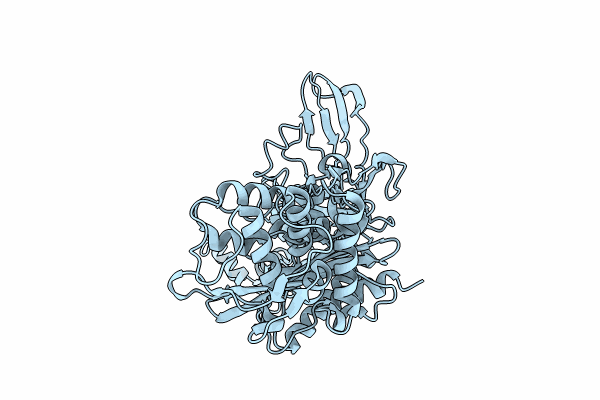 8C5B image