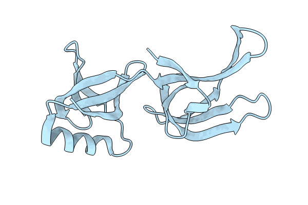 8C5K image