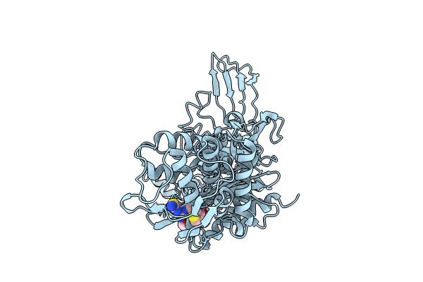 8C5W image