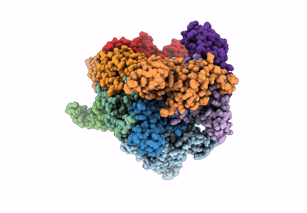 8C5Z image
