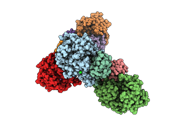 8C61 image