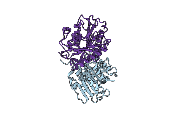 8C65 image