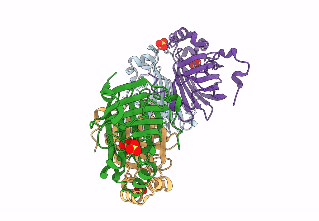 8C66 image