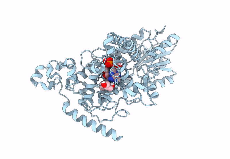 8C6A image