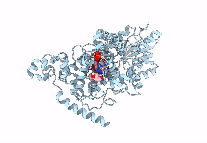 8C6B image