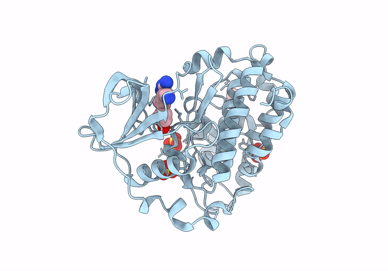 8C6L image
