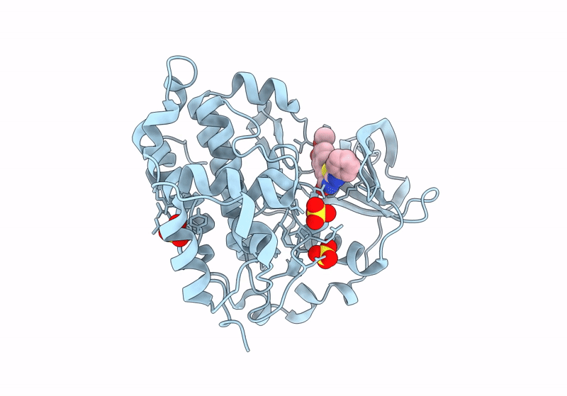 8C6N image