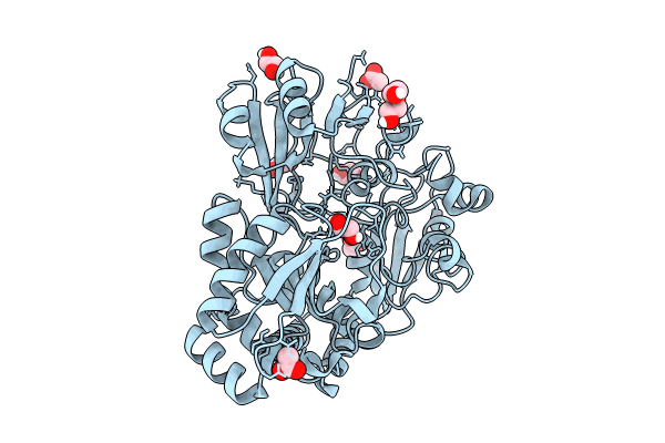8C6U image