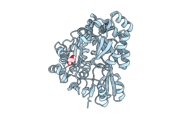 8C6Y image