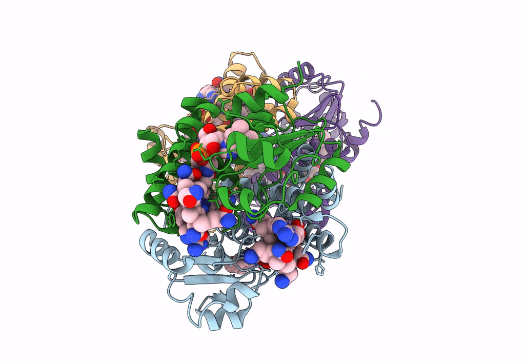 8C73 image