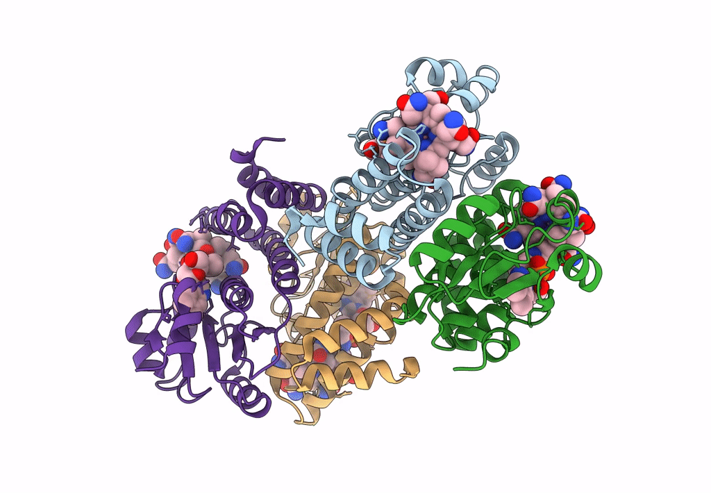 8C76 image