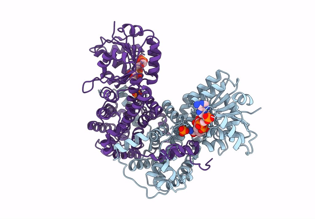 8C79 image
