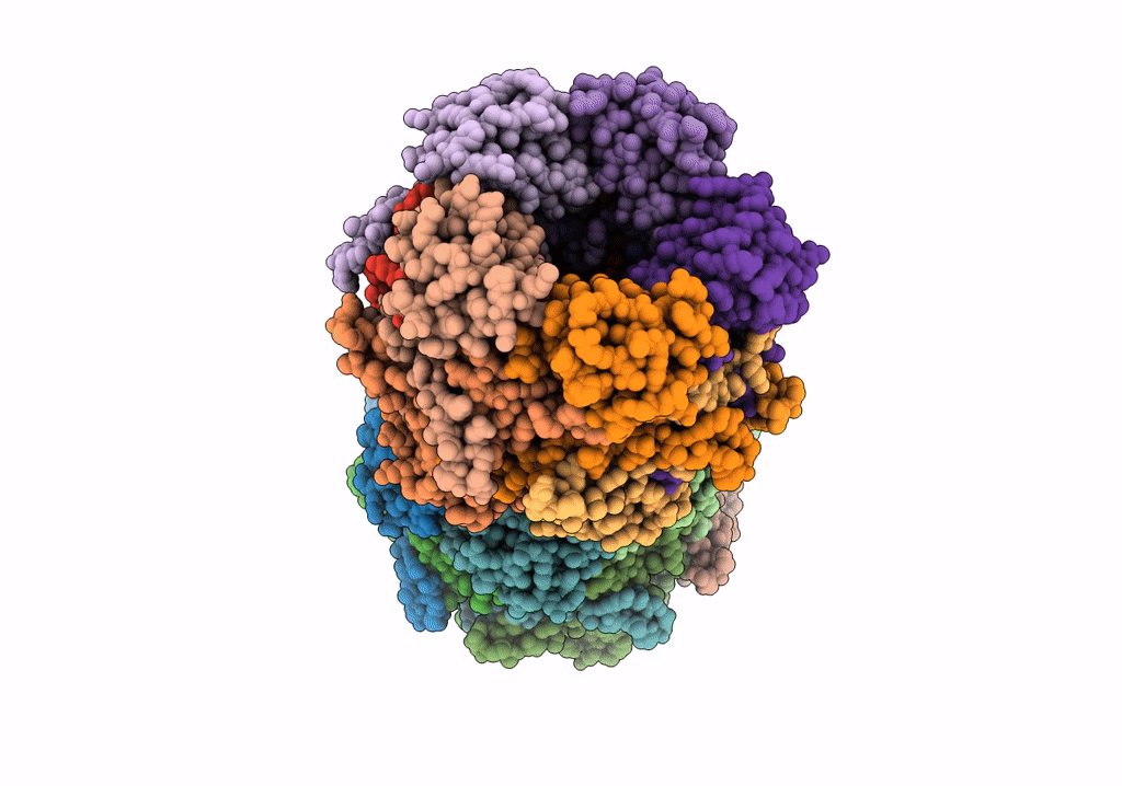 8C7E image