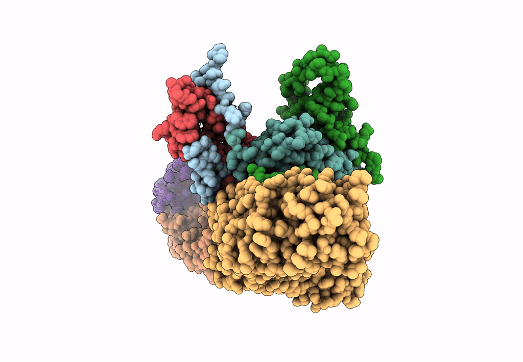 8C7H image