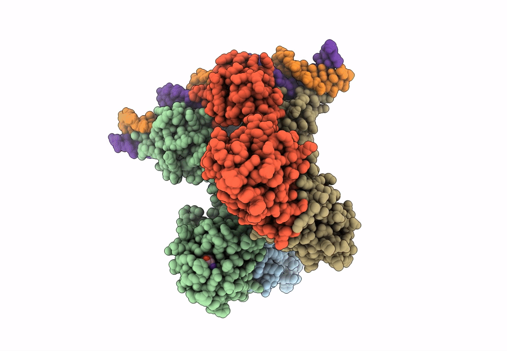 8C7U image