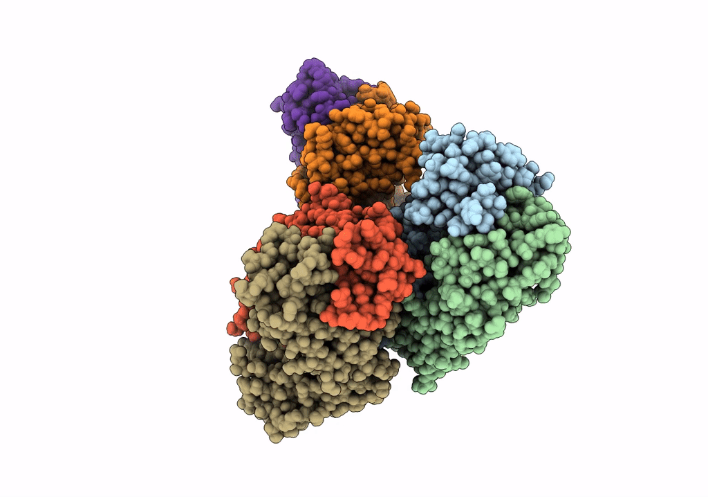 8C7V image