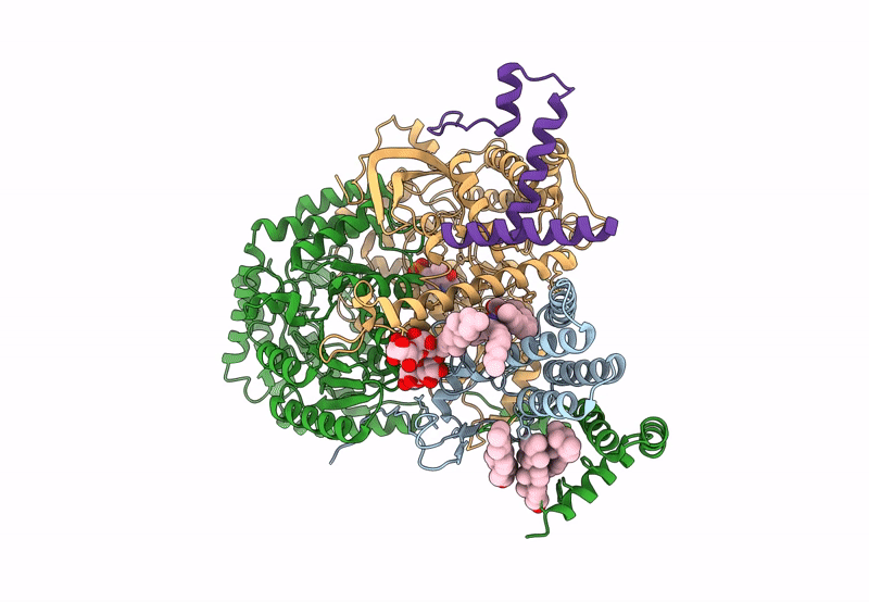 8C80 image
