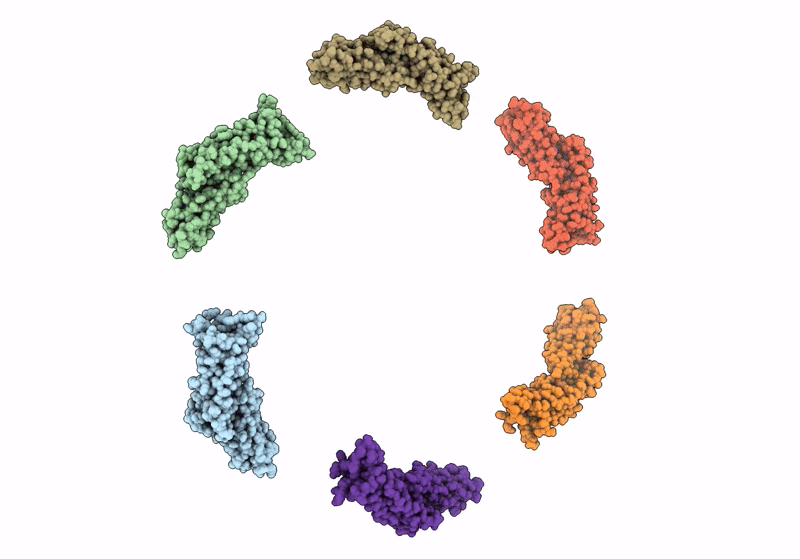 8C8K image