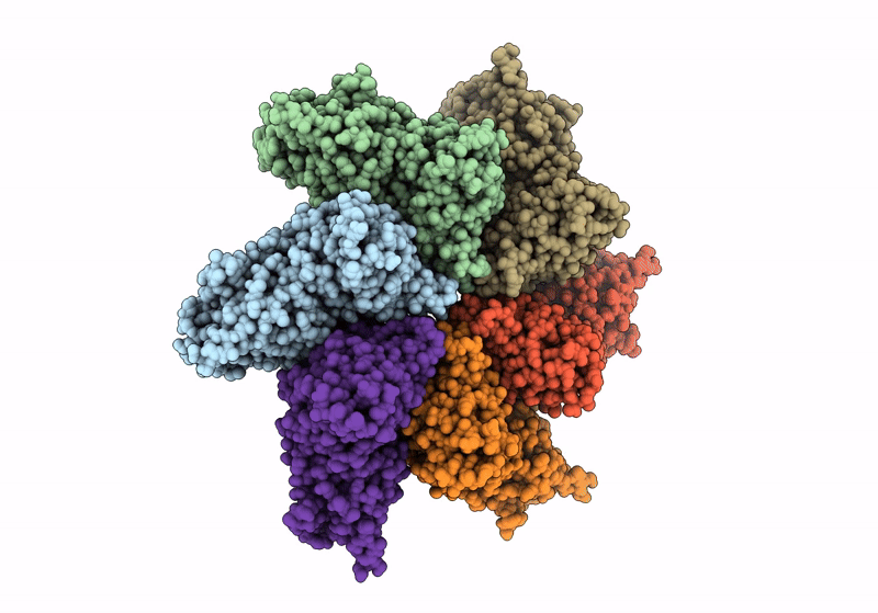 8C8N image