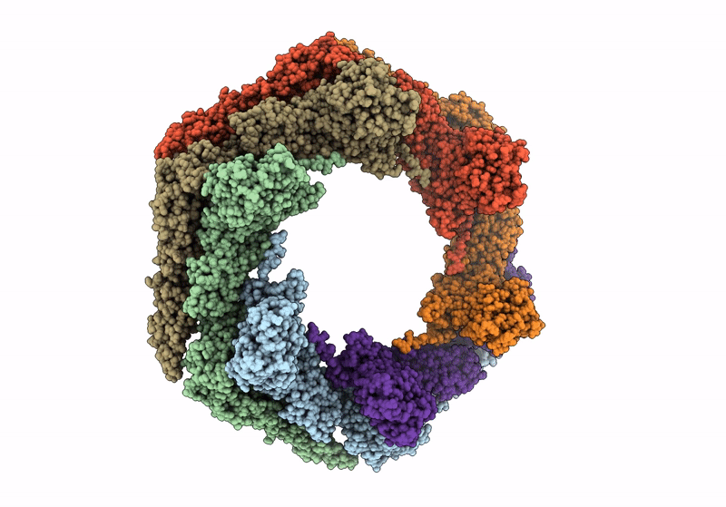 8C8O image